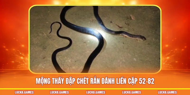 Mộng thấy đập chết rắn đánh liền cặp 52-82