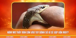 nằm mơ thấy rắn cắn vào tay đánh số gì