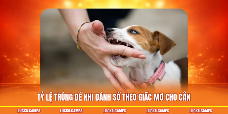 Tỷ lệ trúng đề khi đánh số theo giấc mơ cho cắn